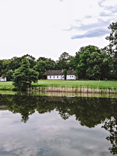 Czworaki - w zespole pałacowo-parkowym w Radziejowicach