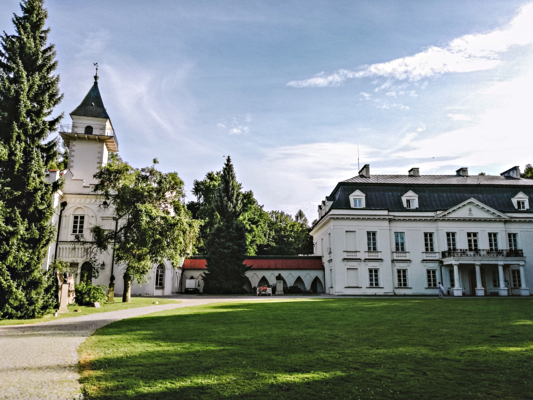Pałac i zamek w Radziejowicach