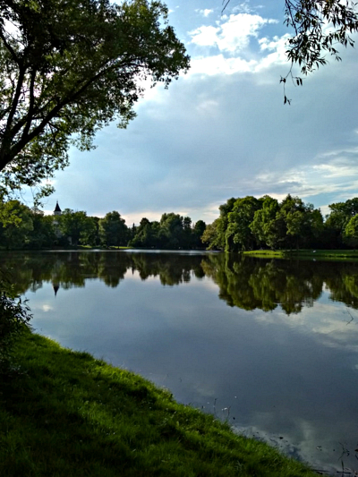 Park w zespole pałacowo-parkowym w Radziejowicach