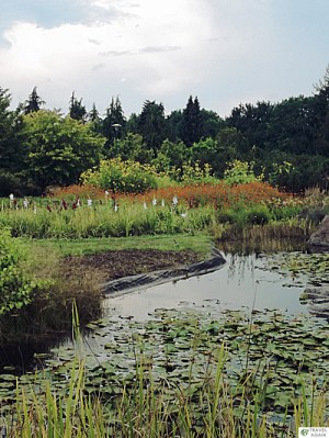 Uroczy zakątek w Ogrodzie Botanicznym w Powsinie
