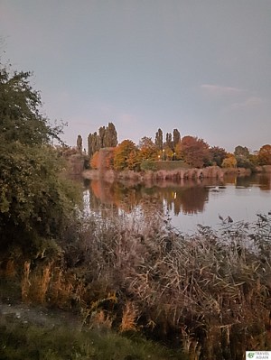 Jeziorko Szczęśliwickie.