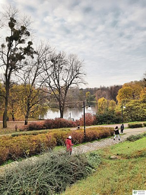 Widok na staw z Kopca Moczydłowskiego
