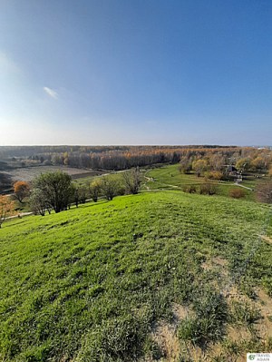 Widok z Górki Kazurki: po lewej pole uprawne, na wprost Las Kabacki, z prawej plac zabaw dla psów. Widok piękny i zdecydowanie nie-Warszawski.