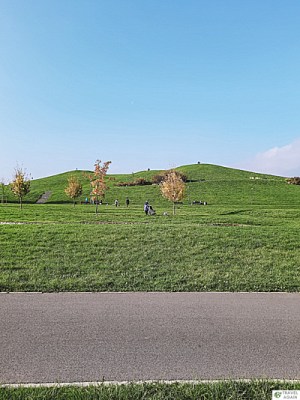 Kopa Cwila - czy jej kształt przypomina bieszczadzkie szczyty?