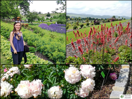 Arboretum w Wojsławicach