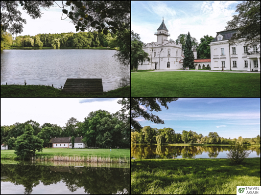 Zespół pałacowo - parkowy w Radziejowicach