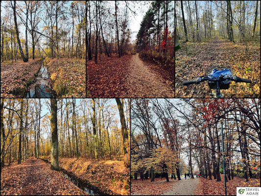 Jesień w warszawskich lasach i parkach