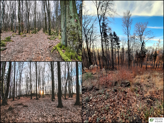 Ślęża - w niższych partiach królowała jesień