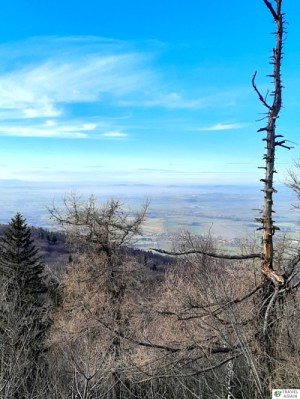 Widok ze szczytu Ślęży w stronę Sudetów