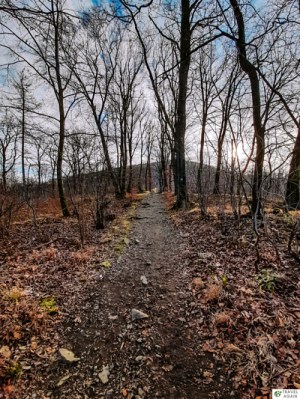 Szlak żółty przed wejściem na Wieżycę, w oddali szczyt Ślęży