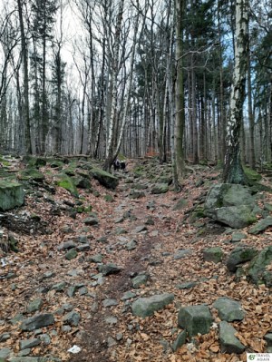 Ślęża - żółty szlak od strony Sobótki