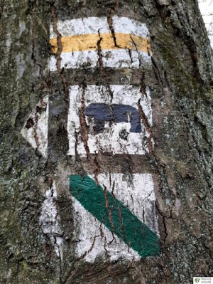 Niedźwiedź - symbol archeologicznego szlaku na Ślęży