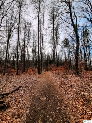 Ślęża w grudniu 2021 - jesień w pełni