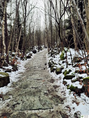 Bliżej szczytu Ślęży ścieżka była ośnieżona