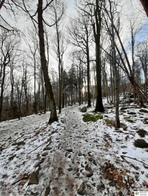 Śnieg na Ślęży 30. grudnia 2021. Nie było go dużo, ale pod koniec grudnia był mocno wyczekiwany i trochę niespodziewany.