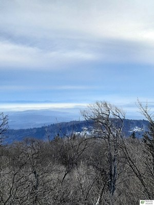 Widok ze szczytu Ślęży - zimowy krajobraz