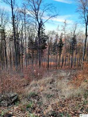 Piękna przyroda u podnóża Ślęży