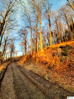 Ścieżka Droga Włosta w złotej godzinie - na ścieżce tylko my